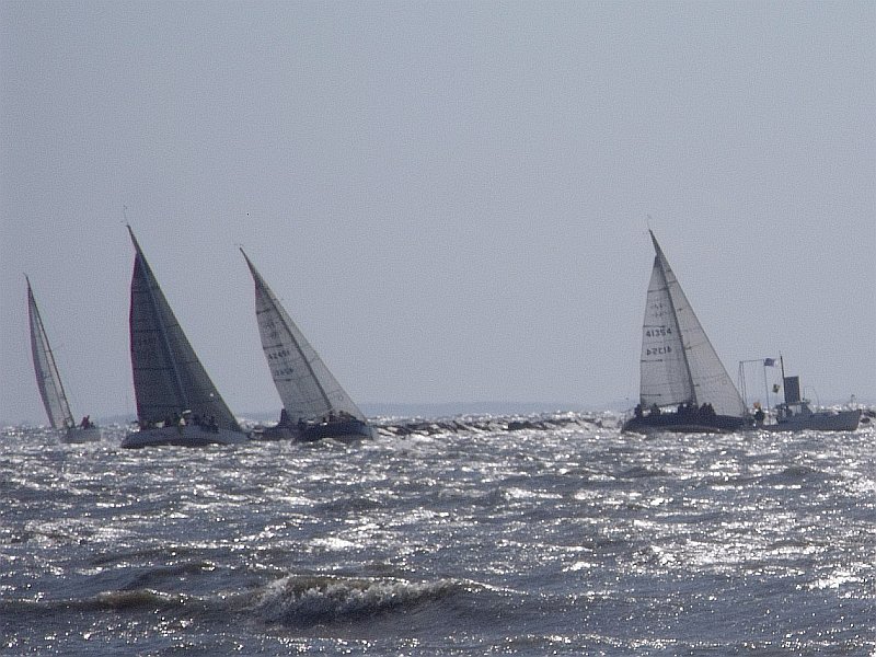 dscf1171cr800x600.jpg