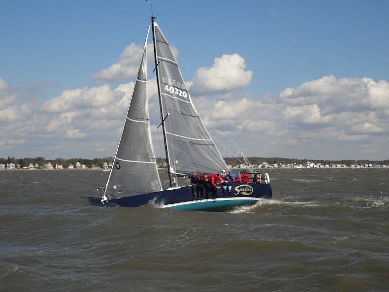 tmug_2011114a.jpg