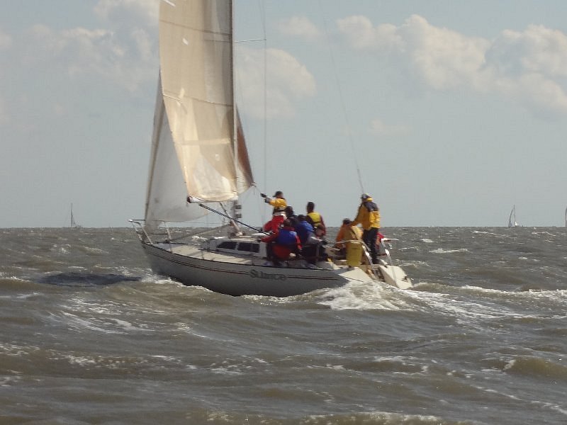 tmug_2011133a.jpg