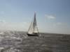 tmug_2011139a_small.jpg