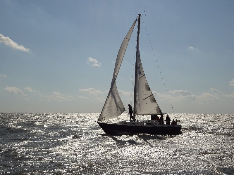 tmug_2011140a.jpg