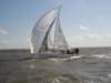 tmug_2011152a_small.jpg