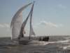 tmug_2011156a_small.jpg