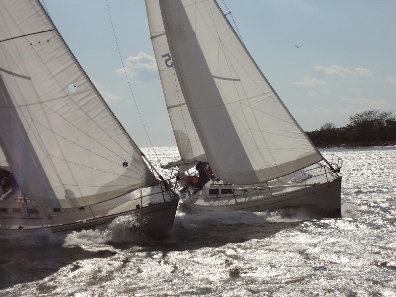 tmug_2011173a.jpg