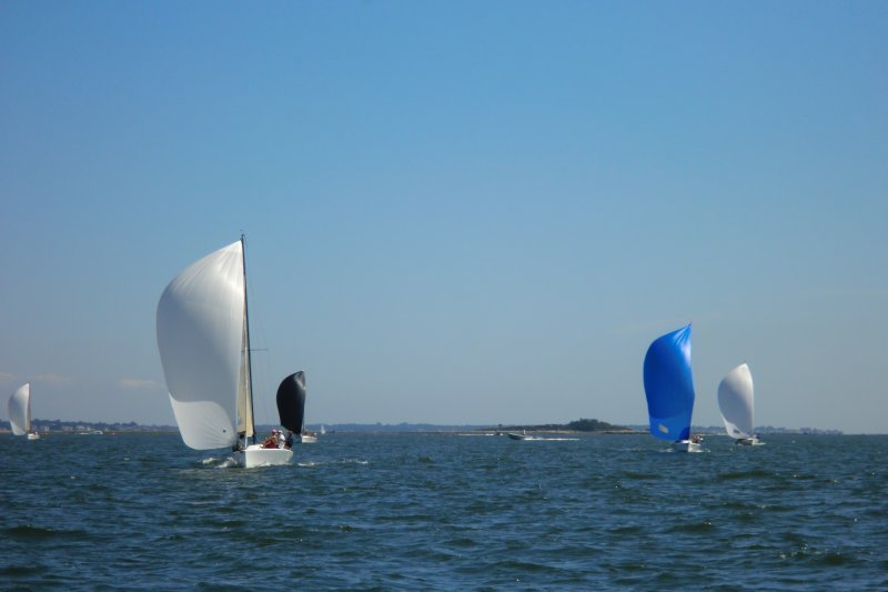 cimg6473a.jpg