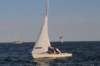 dsc_4103a_small.jpg