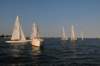 dsc_4113a_small.jpg