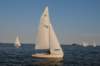 dsc_4130a_small.jpg