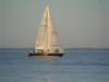 dscf1937_small.jpg