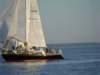 dscf1944_small.jpg